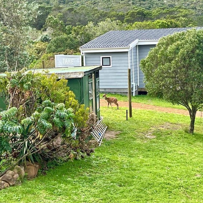 Bushbuck Farm Eco-Retreat Thumbnail
