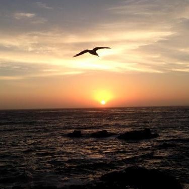 Little Sur Inn Thumbnail