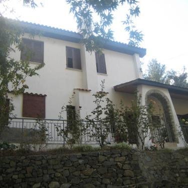 Flora's House