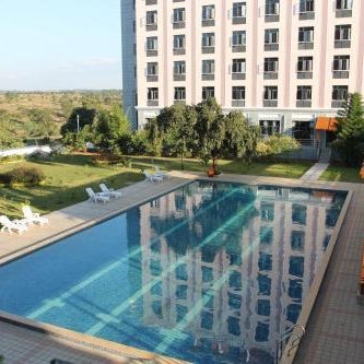 Sogecoa Golden Peacock Thumbnail