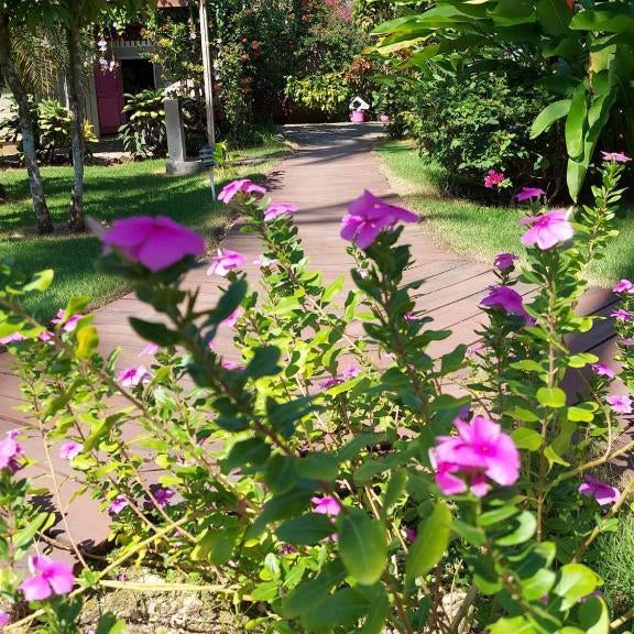 Hotel Casa Robinson Thumbnail