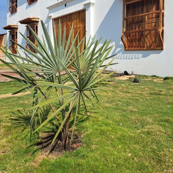 TERRAKOTA Heritage House