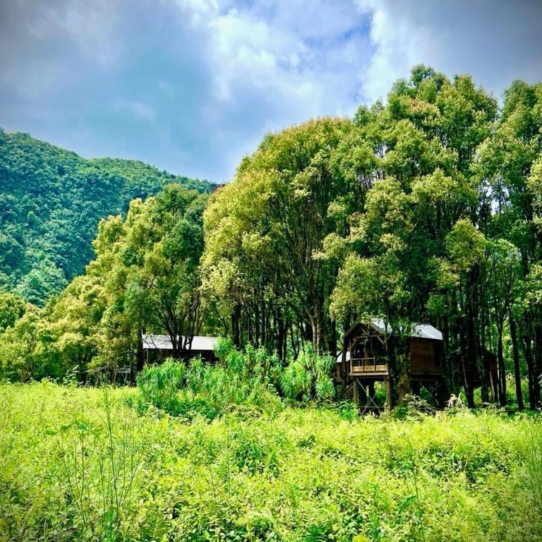 Kanopea Forest Lodge Thumbnail