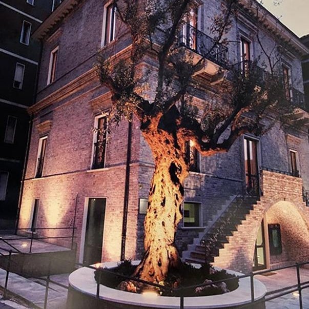 B&B Palazzo Storico Di Nicola Thumbnail