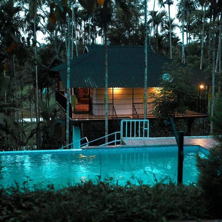 Wildsidewayanad