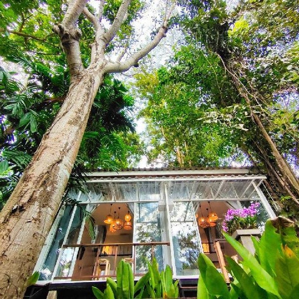 Rain Forest Resort Phitsanulok