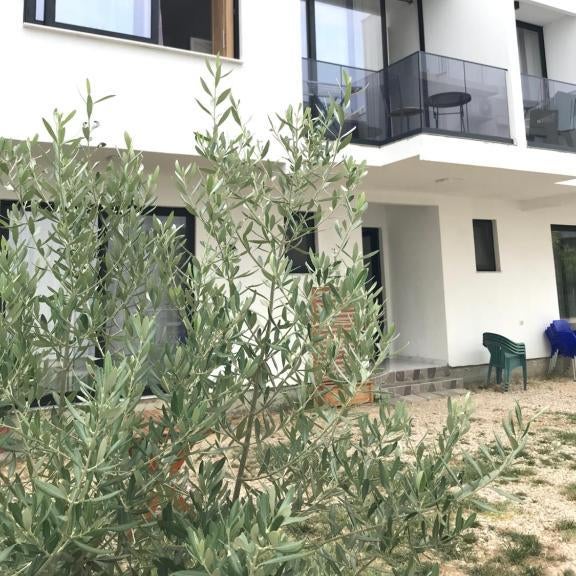 Rine Apartments