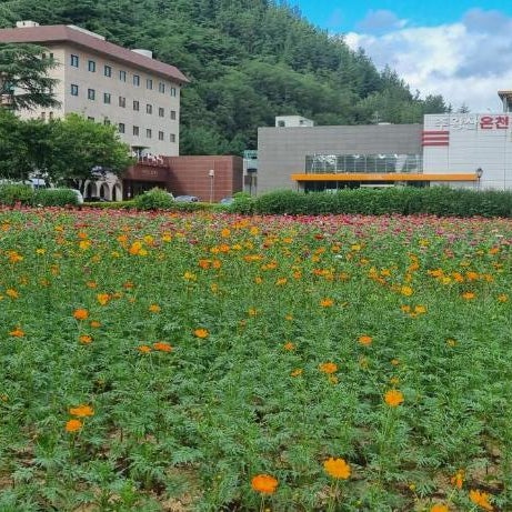 Juwang Mt Oncheon Tourist Hotel