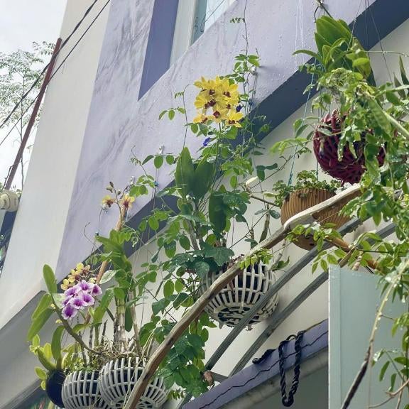 Hoàng Nga 2 Homestay Thumbnail