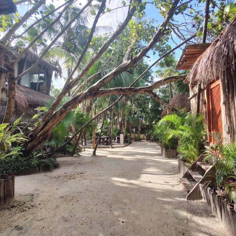 Eco Bañitas Tulum Thumbnail