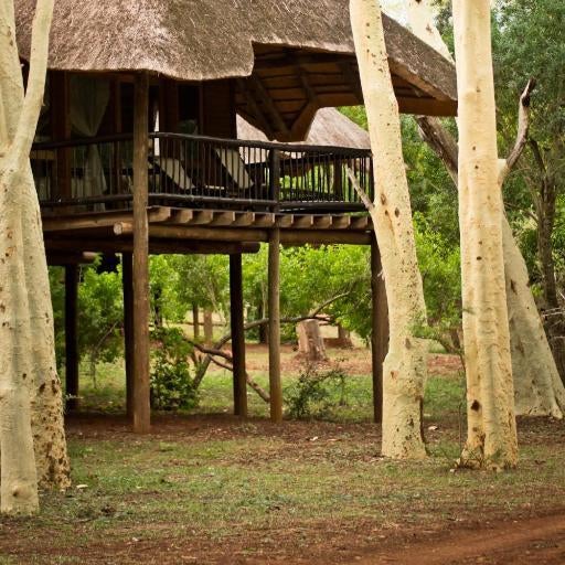 Ubizane Zululand Tree Lodge