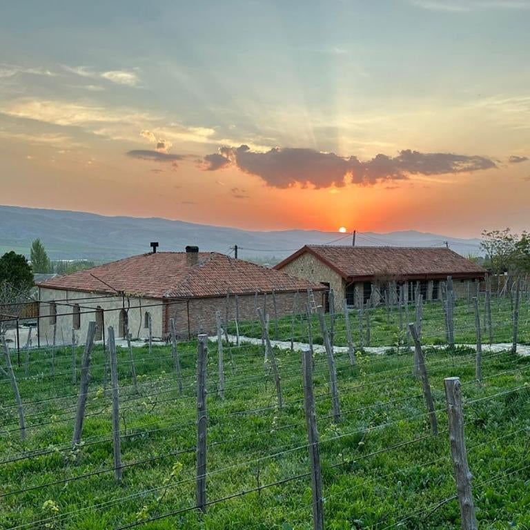 Peradze Wine Cellar Vineyard Cottages