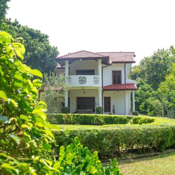 The Jungle Pearl Hotel
