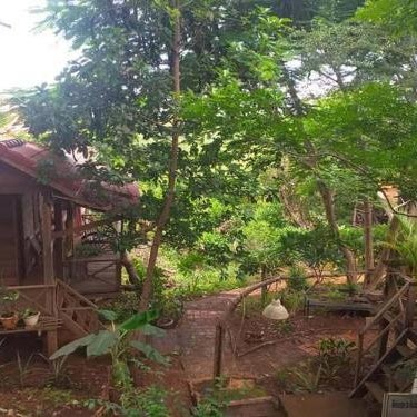 Garden View Lodge & Trekking Tours Thumbnail