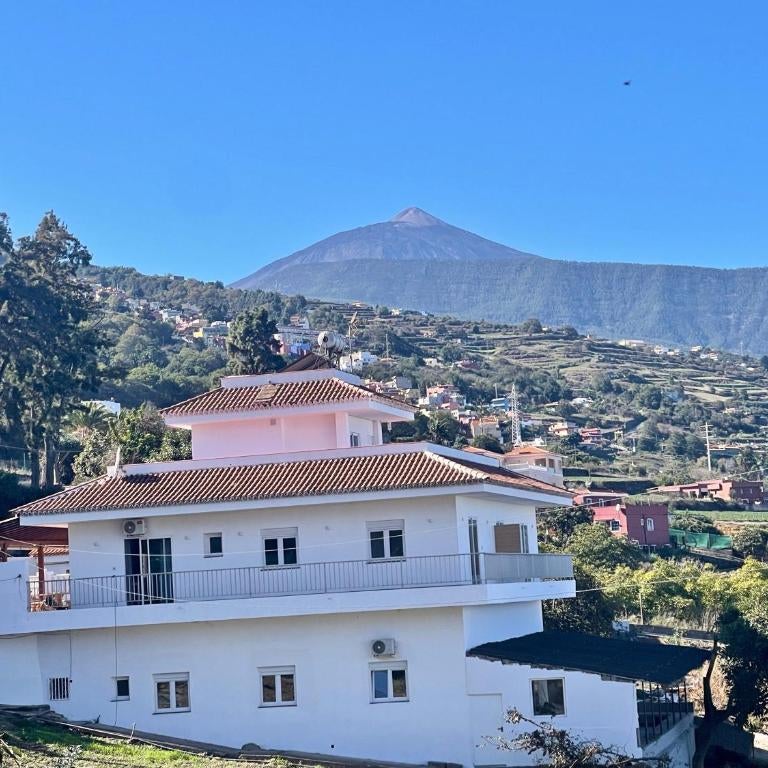 Sea view avocado Finca Ten Days