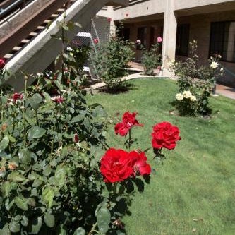 Premier Inns Thousand Oaks Thumbnail
