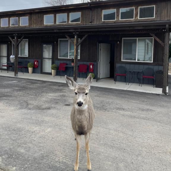 Corral Villas Yellowstone Thumbnail