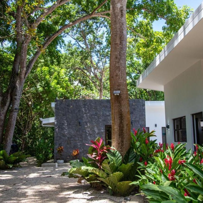 Hotel Bosques de Pinilla Thumbnail