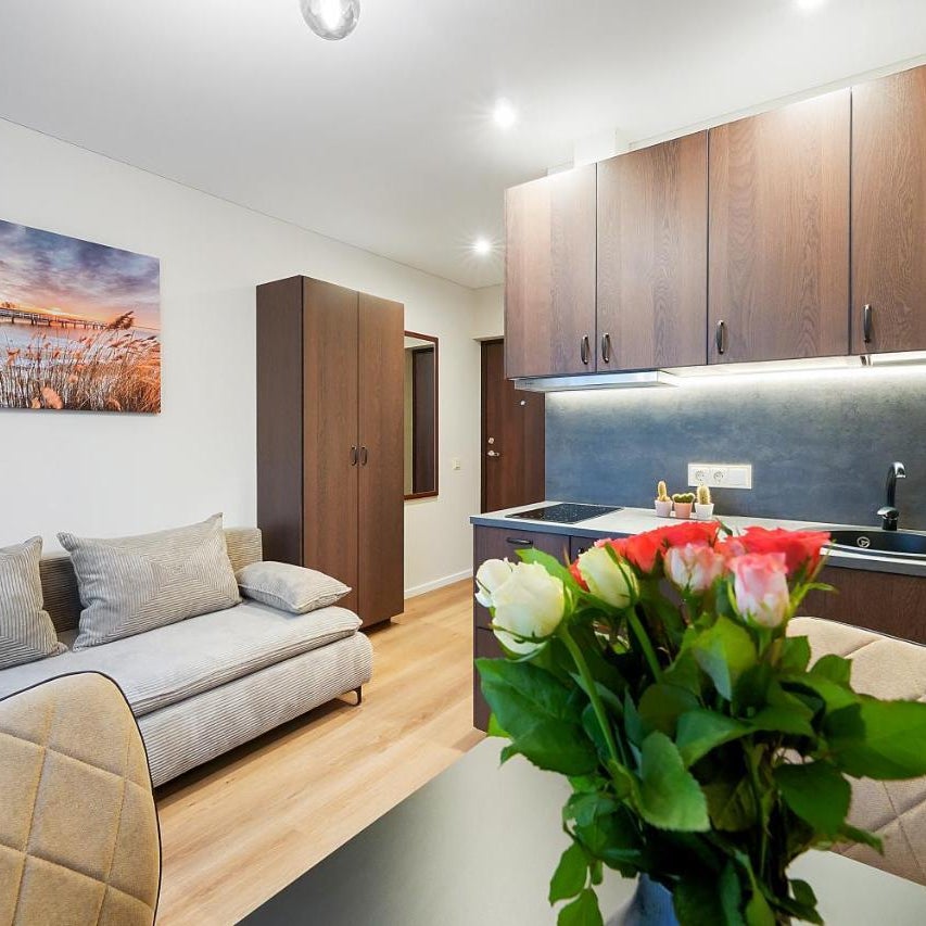 Stylish studios near the city center