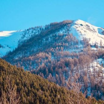 Hotel Chamois d'Or