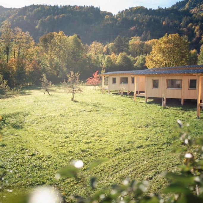 Pinjola