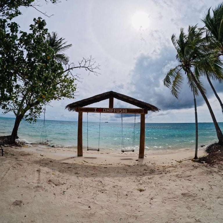 VelaaVani - Turtle Hive Dhiffushi