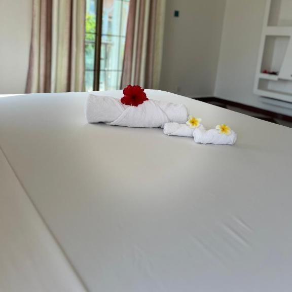 skyport villa Thumbnail
