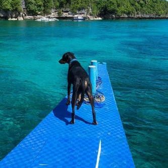 Bohol-Lahoy Dive Resort Thumbnail