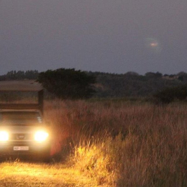 Bonamanzi Game Reserve