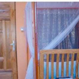 Antelope homestay Thumbnail