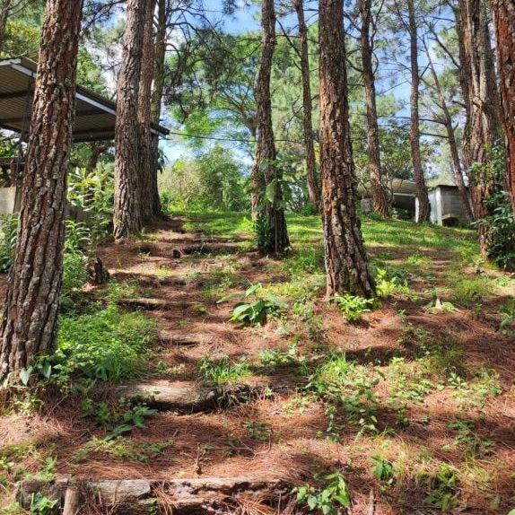 Casa Campo Loma Larga