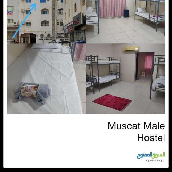 INTERNATIONAL HOSTEl Thumbnail