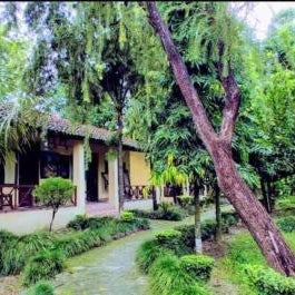 Rhino Lodge Bardia Pvt Ltd Thumbnail