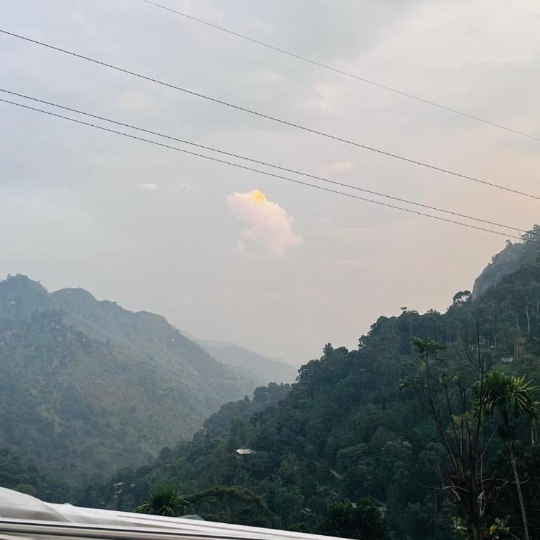 Elite Ella Thumbnail