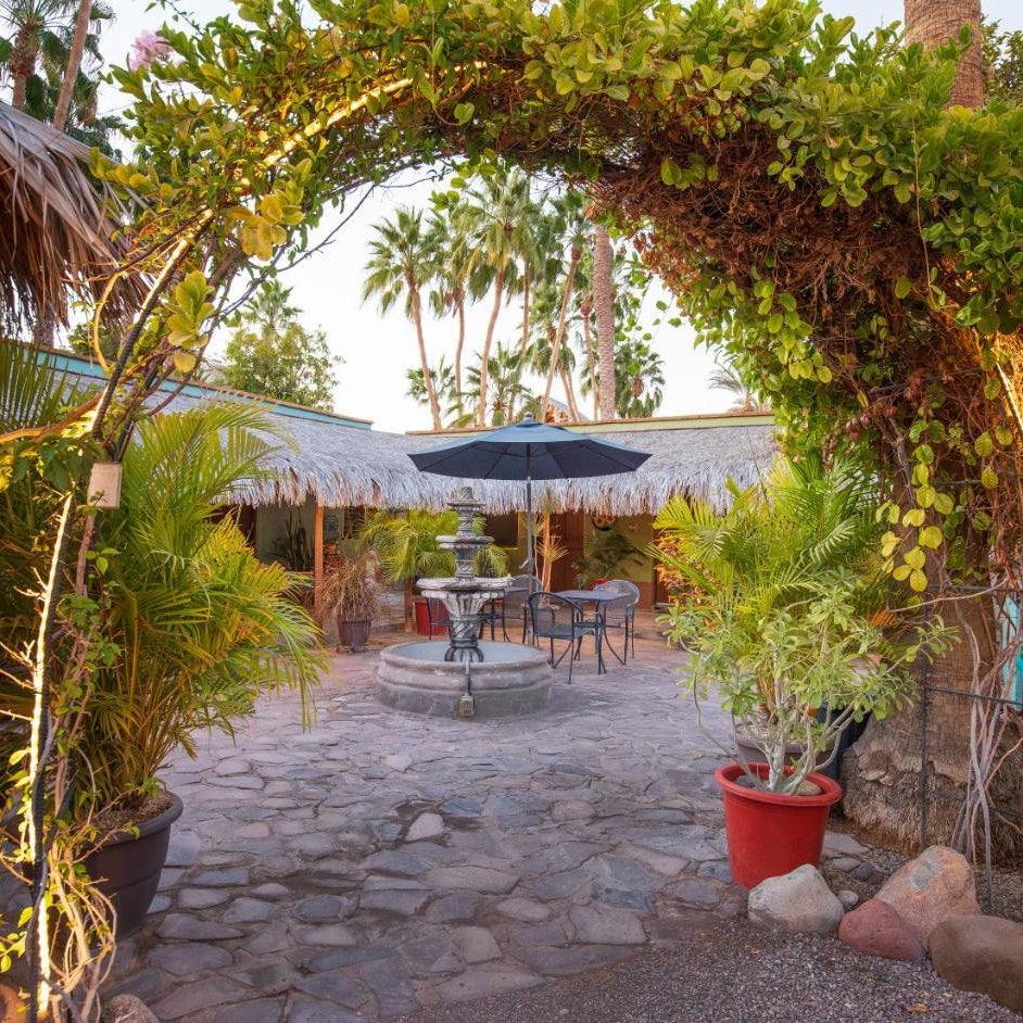 Iguana Inn Thumbnail