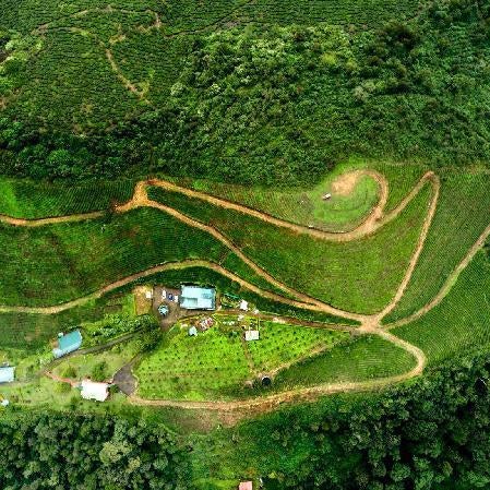Camelot Resort-A Boutique Escape in the Munnar Hills