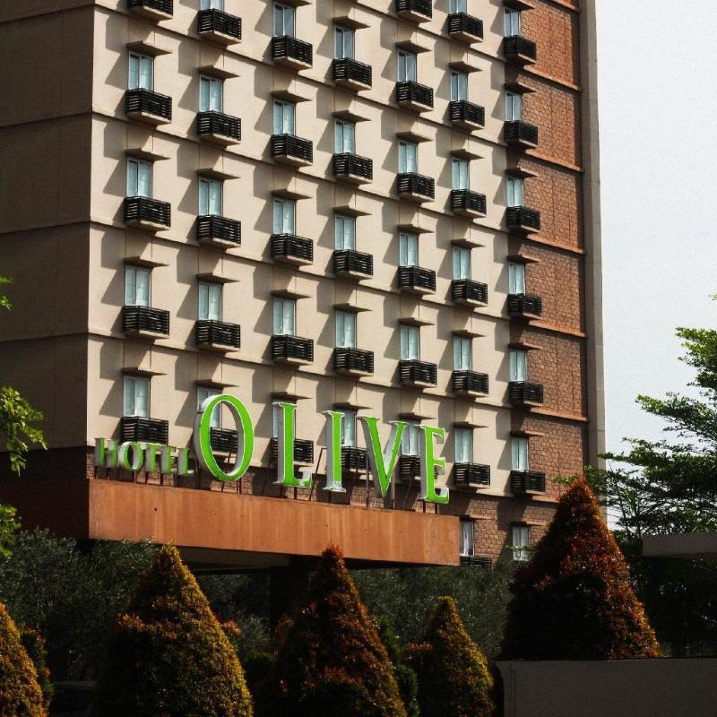 Hotel Olive