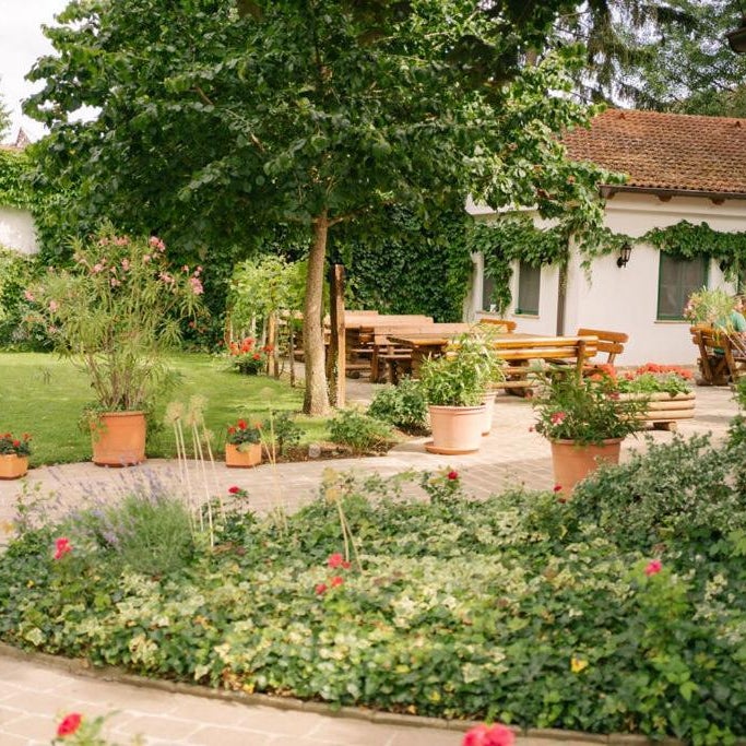 Hotel-Restaurant-Vinothek Felix Sommer