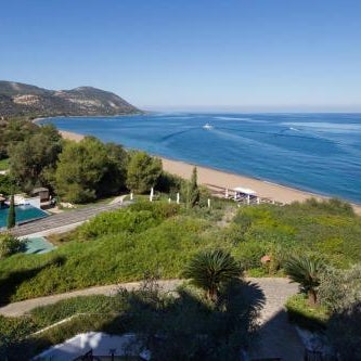 Anassa