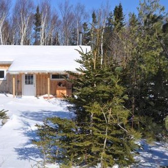 The Sleeping Moose Thumbnail