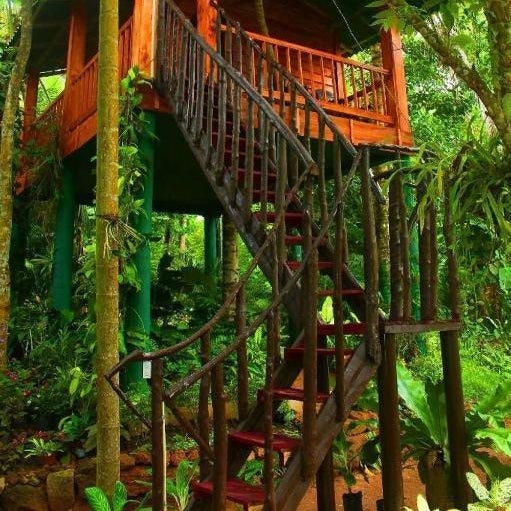 The Hidden Treehouse Thumbnail