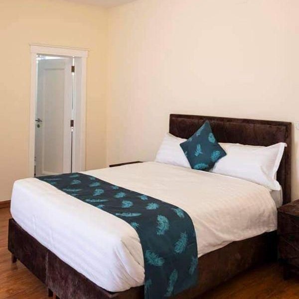 Yani apartment