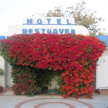 Rest Haven Motel Thumbnail