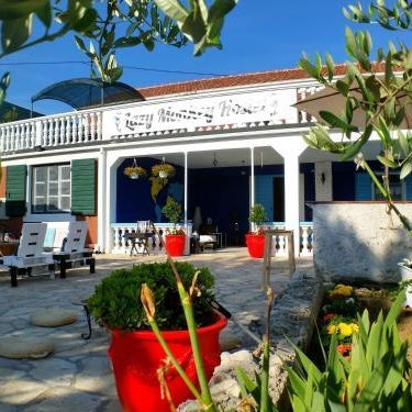 Lazy Monkey Hostel