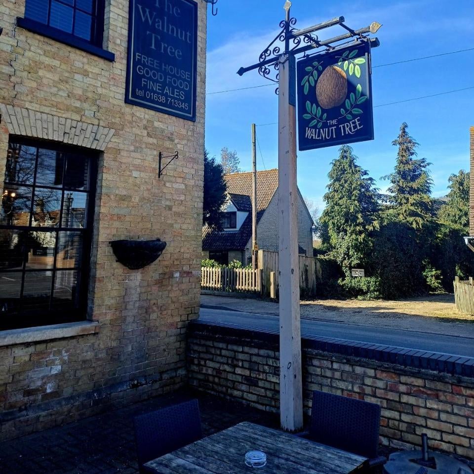 the walnut tree