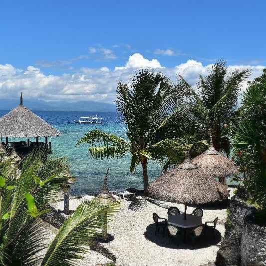 Dolphin House Resort Spa Diving Thumbnail