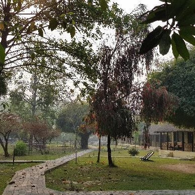 Lumbini Buddha Garden Resort Thumbnail