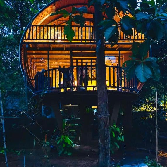 woodland sanctuary