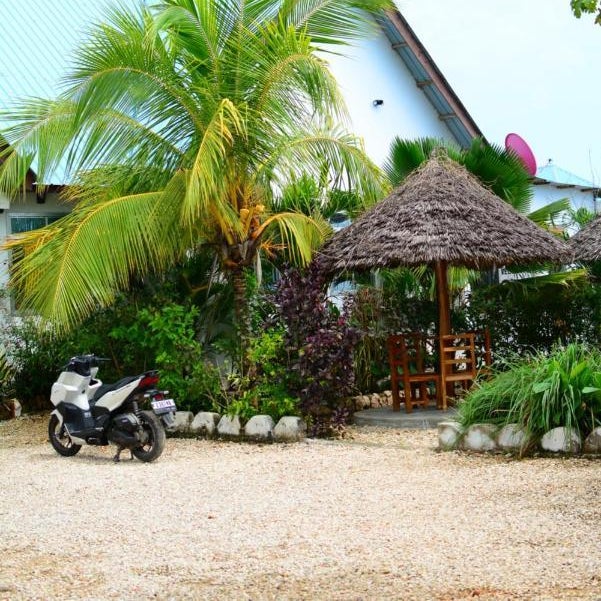 kikoti nungwi zanzibar Thumbnail