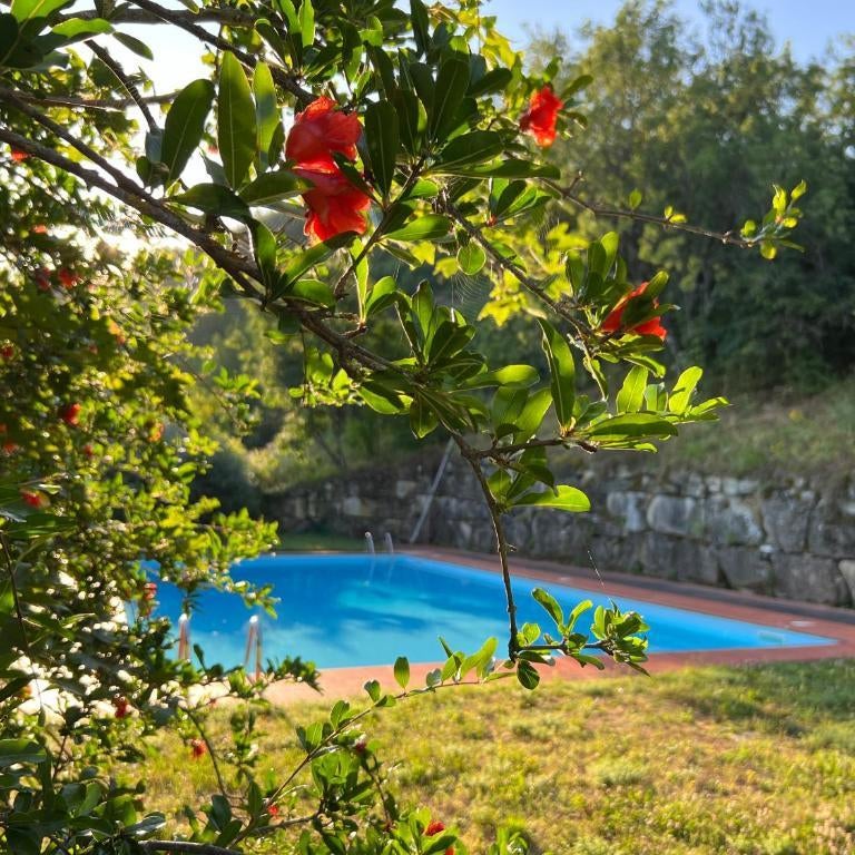 La Melagrana
